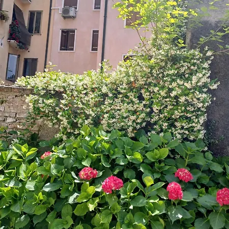 San Silvestro, Sentiti A Casa Nel Cuore Di Vicenza, Citta' Unesco *