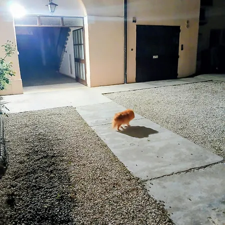 Homestay szállás San Silvestro, Sentiti A Casa Nel Cuore Di Vicenza, Citta' Unesco Vicenza
